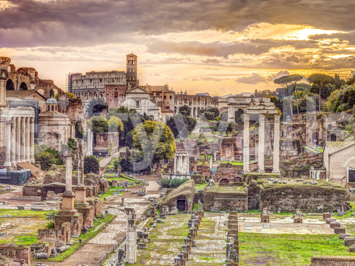 Ruins of the Roman Forum Wall Mural