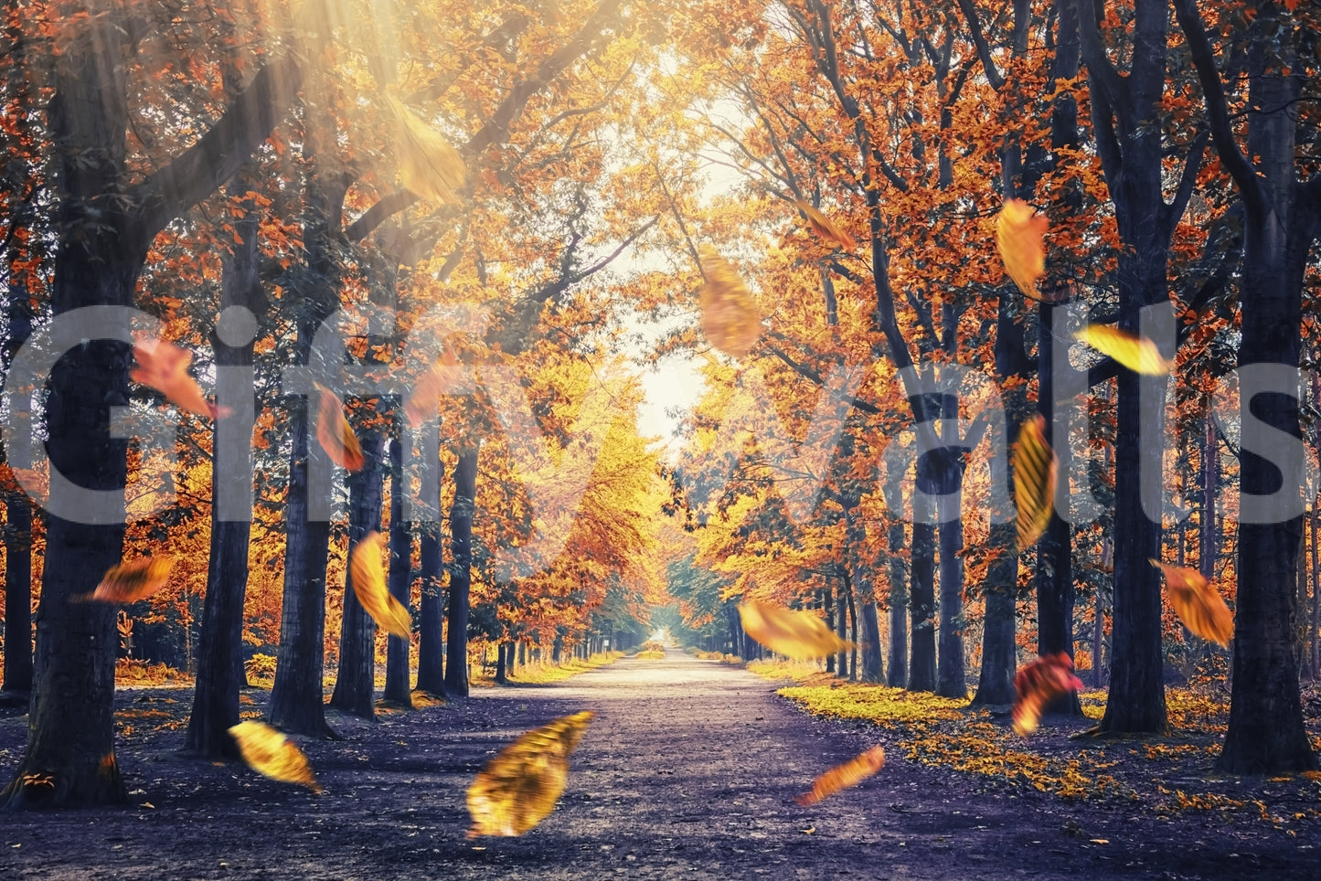 Autumn's Golden Path Wall Mural