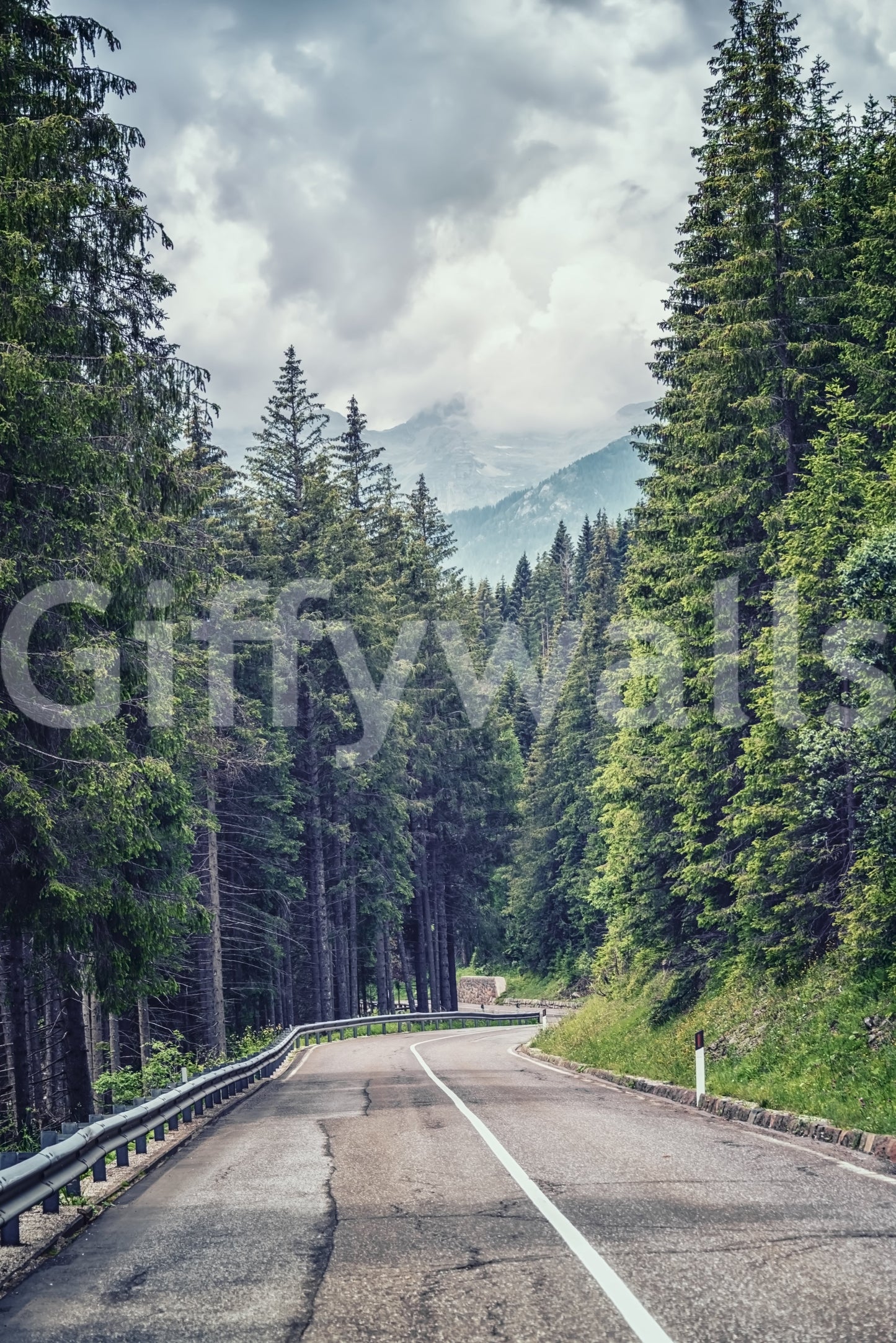 Mountain Road Vista Wall Mural