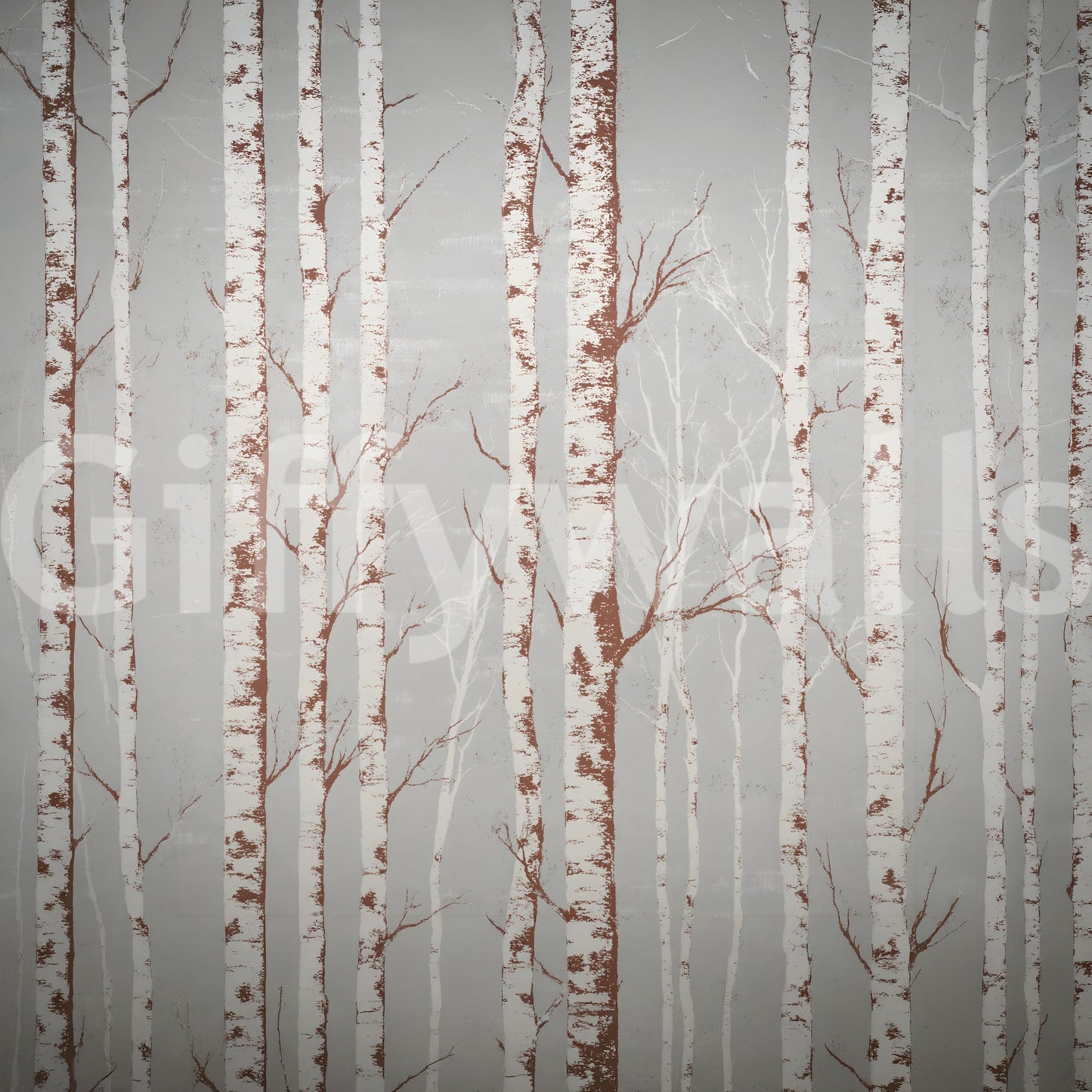 Winter Birch Beauty Wall Mural