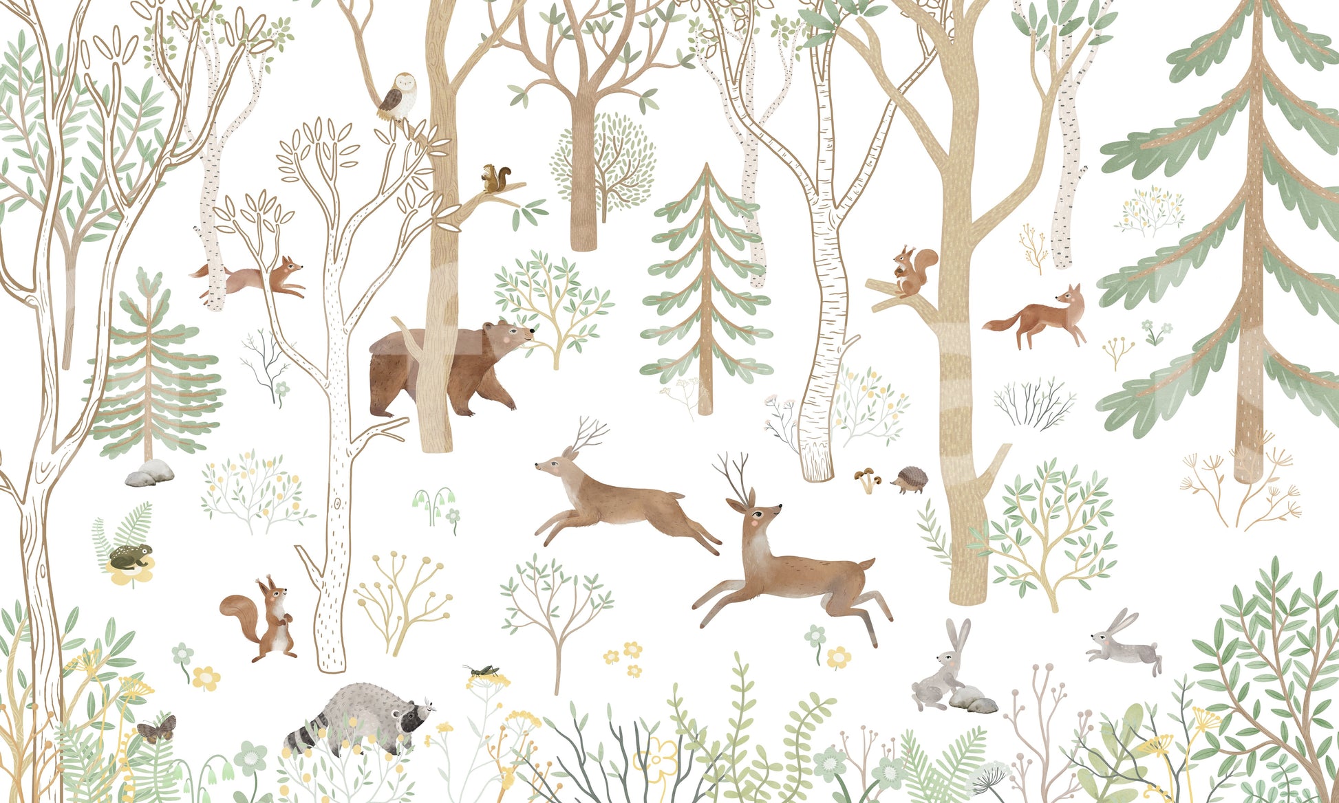 Frisky Forest Green wall mural with illustrated forest scene and soft earthy tones