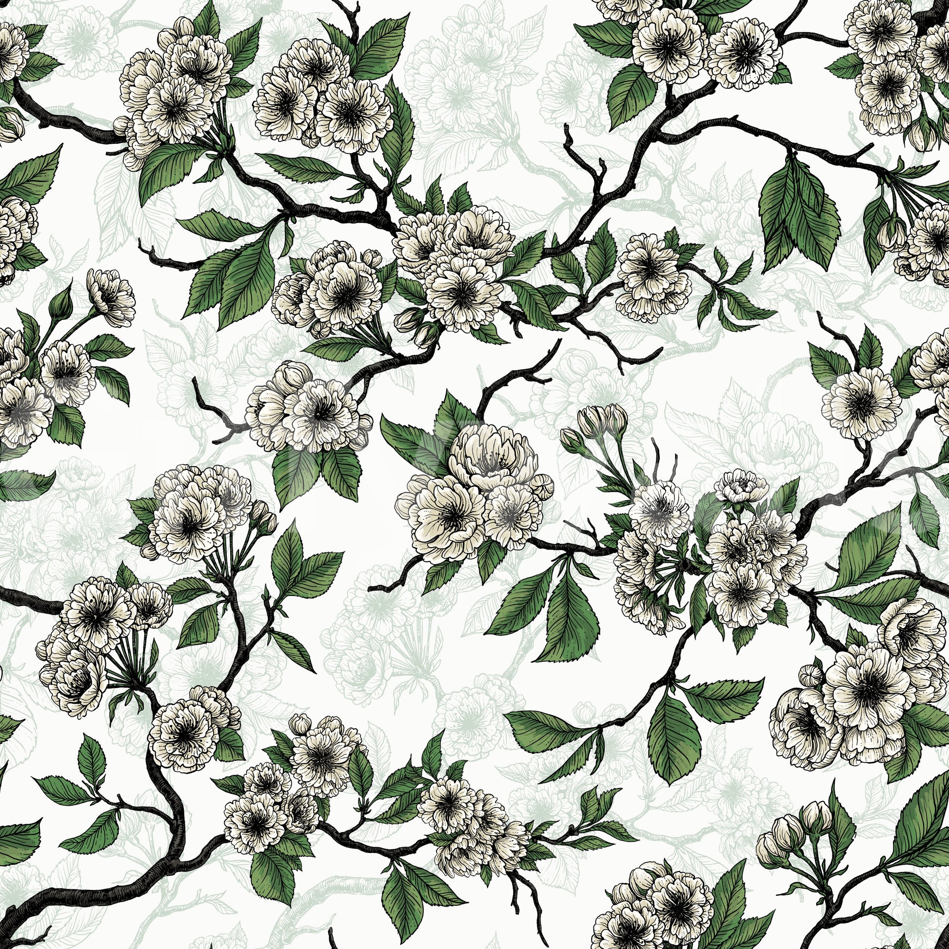 Cherry Blossom on White wallpaper with dark branches and soft blooms