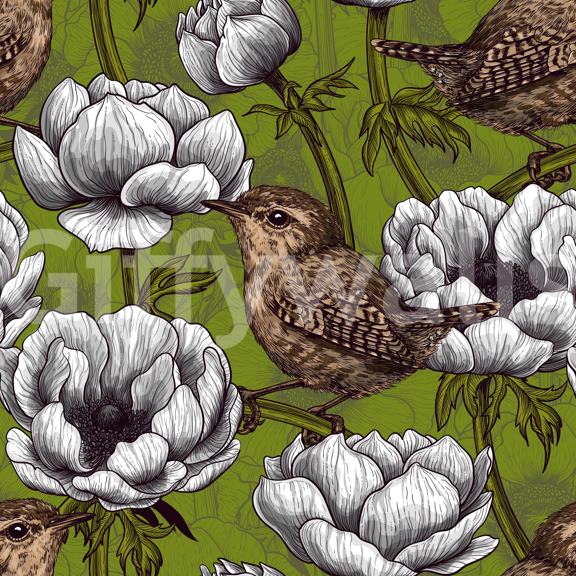 Nature layout in Wrens in the White Anemone Garden wallpaper