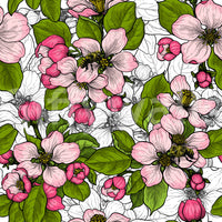 Apple Blossom on White wallpaper with fine botanical line elements