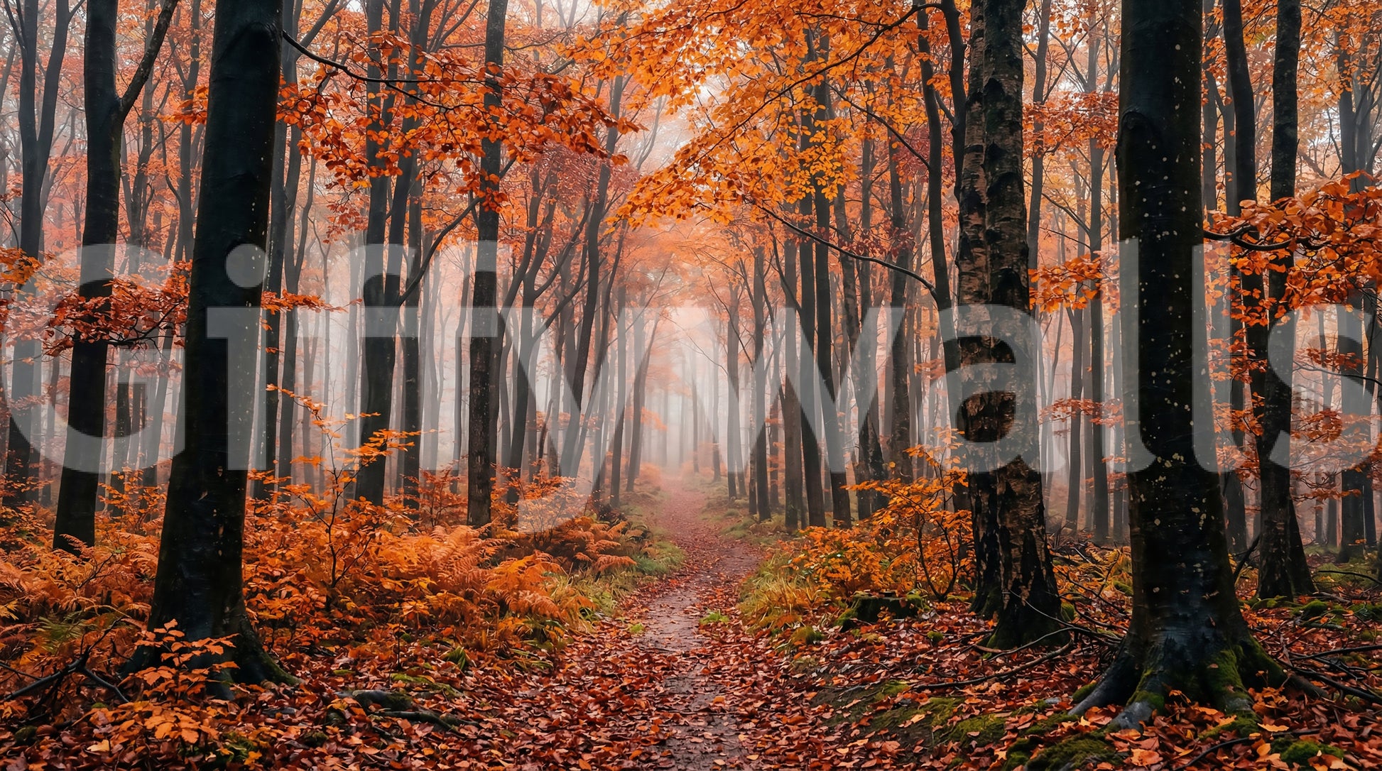 Misty Autumn Forest Path wall mural with warm tones and soft lighting