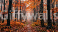 Misty Autumn Forest Path wall mural with warm tones and soft lighting