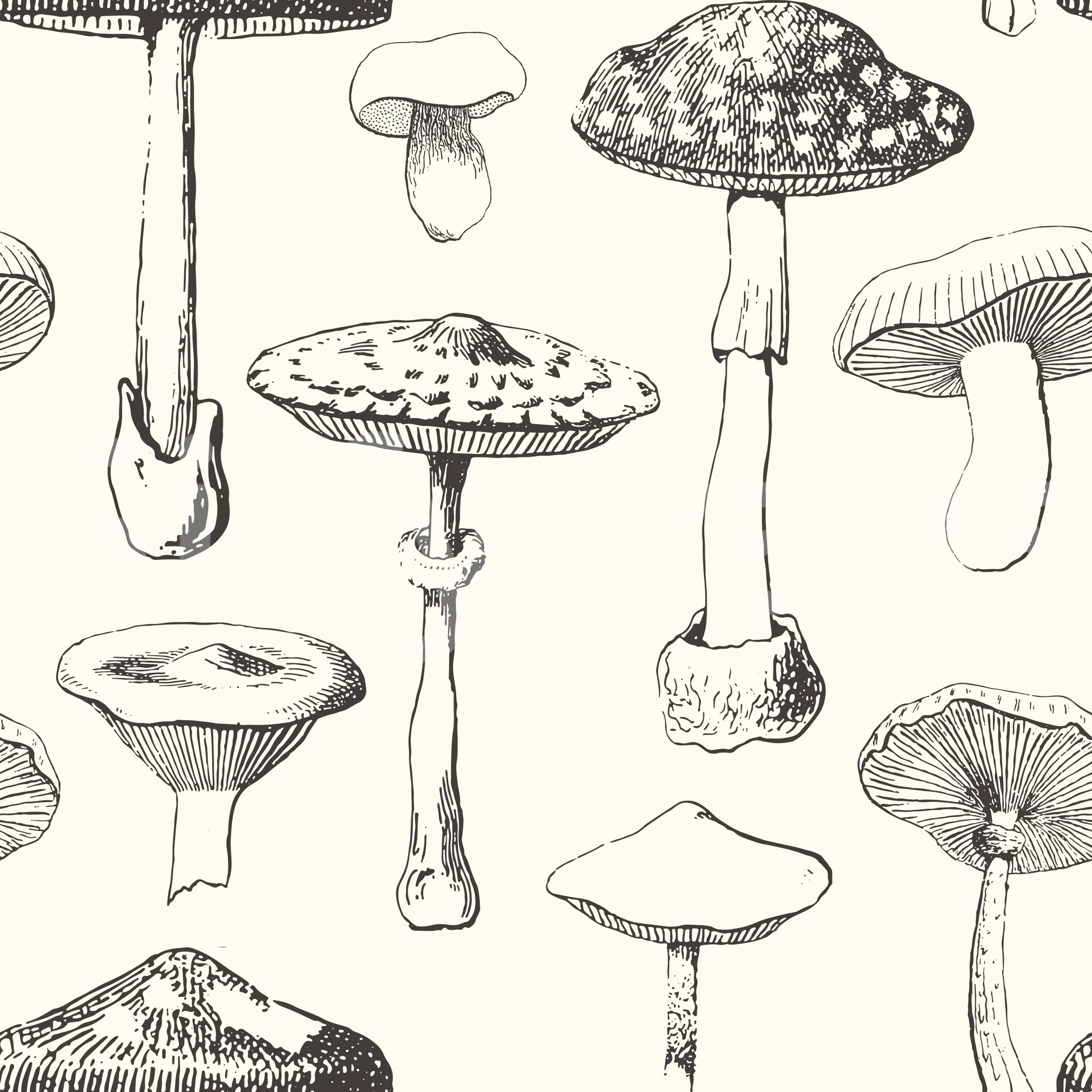 Artistic Forest Mushroom Sketch Wallpaper for apartment walls.