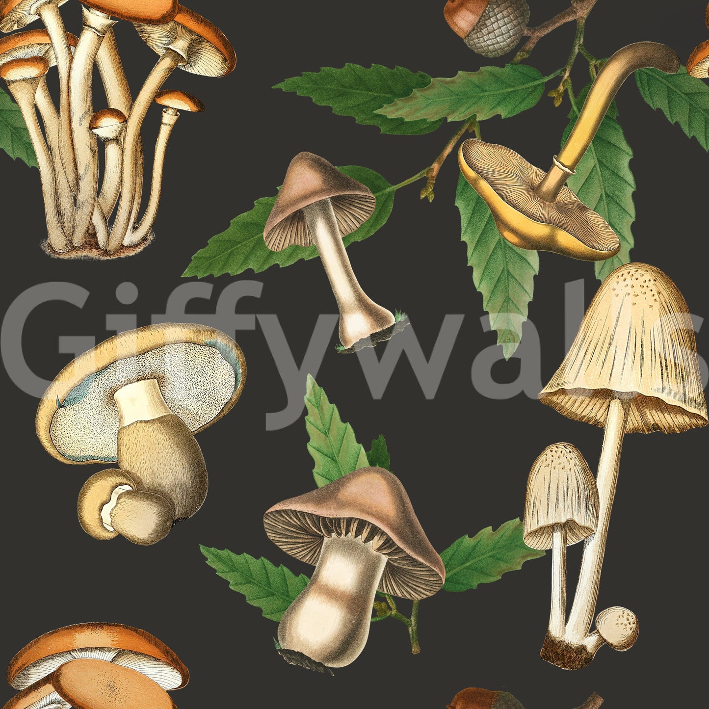Archival woodland illustration gives Vintage Forest wallpaper a refined look