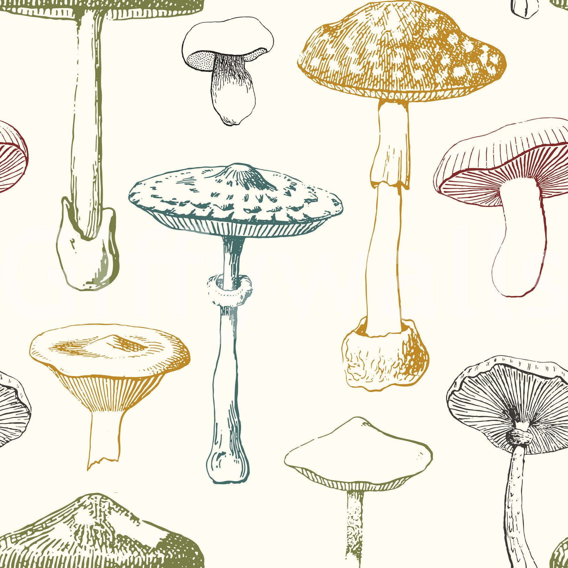 Subtle naturalist drawing brings depth to Mushrooms Wallpaper with quiet charm