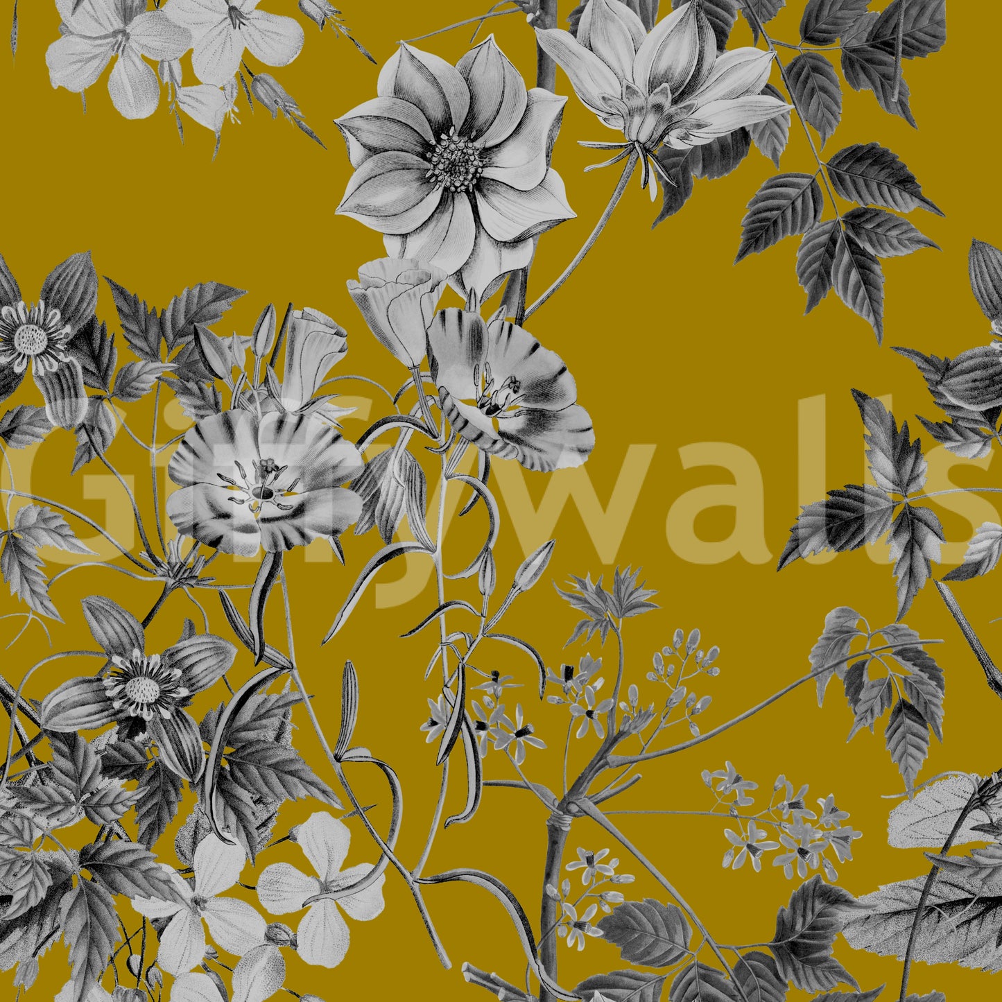 Boceto botánico de Flor de Ocre Wallpaper⁠