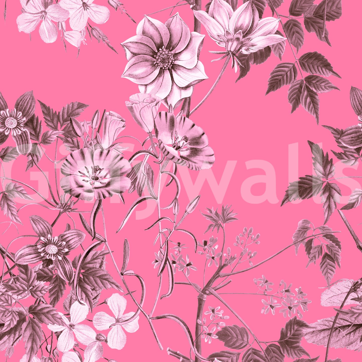 Grabados florales fucsia Wallpaper⁠