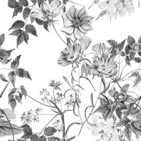 Sketched flower wallpaper showing Botanical Prints on clean white base
