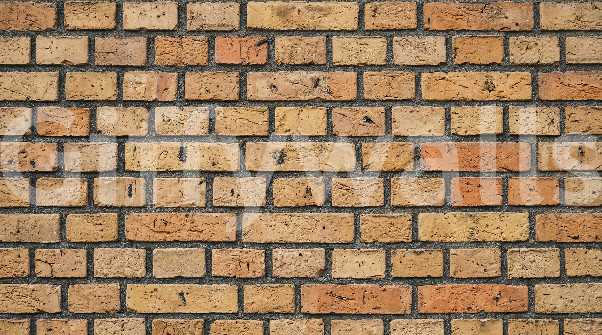 Brick texture wall mural featuring warm sand tones and rough surface detail