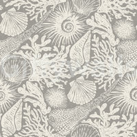 Boho Seashell & Coral Gray Wallpaper⁠