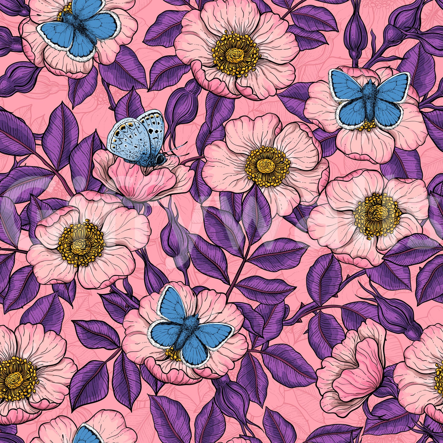 Dog Rose and Butterflies – Pink and Purple Floral Colored Line Art on pink Background Wallpaper⁠