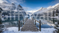 Realistic photographic details of a snowy outdoor wall mural pattern.