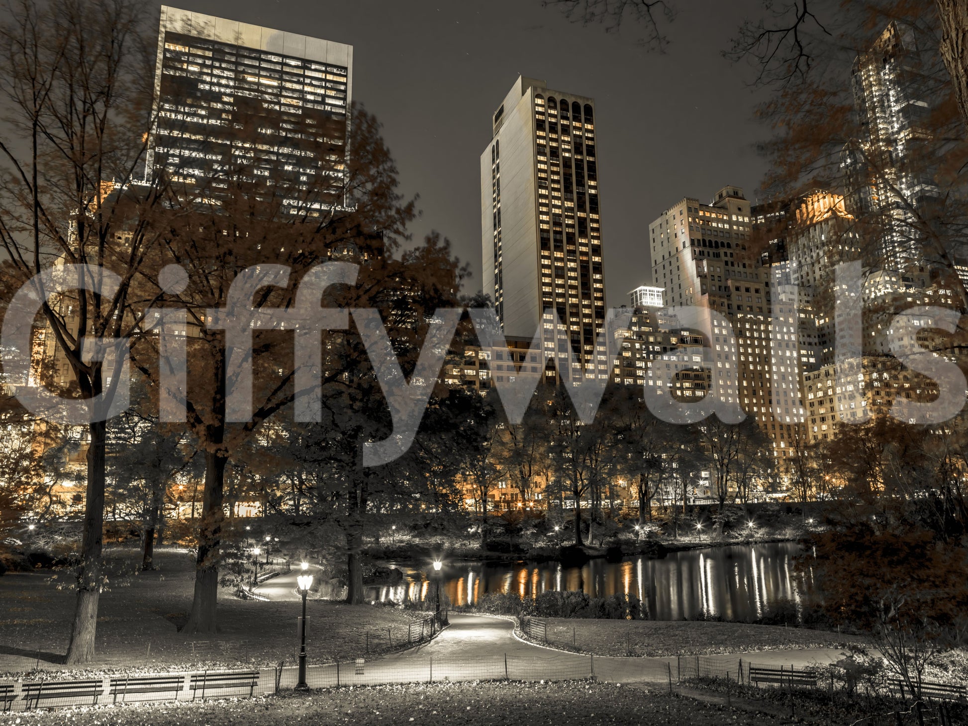 Park benches and bare branches edge the Urban Oasis Nights wall mural foreground