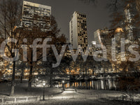 Park benches and bare branches edge the Urban Oasis Nights wall mural foreground