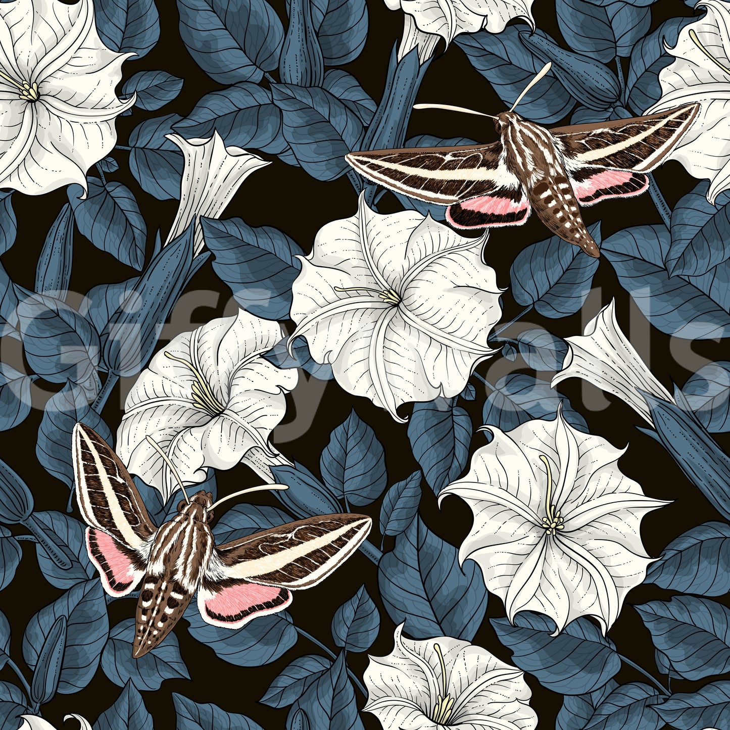 Intricate insect wings highlight our sphinx moths wallpaper.