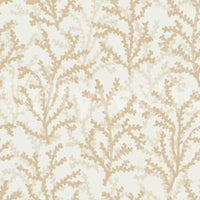 aquatic lattices form a neutral surface using the Coraline wallpaper.