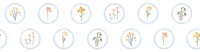 Coneflower sketches march in tidy rows across the Wildflowers wallpaper