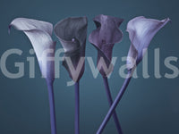 Slim stems rise into sculptural blooms on this calla lily wall mural
