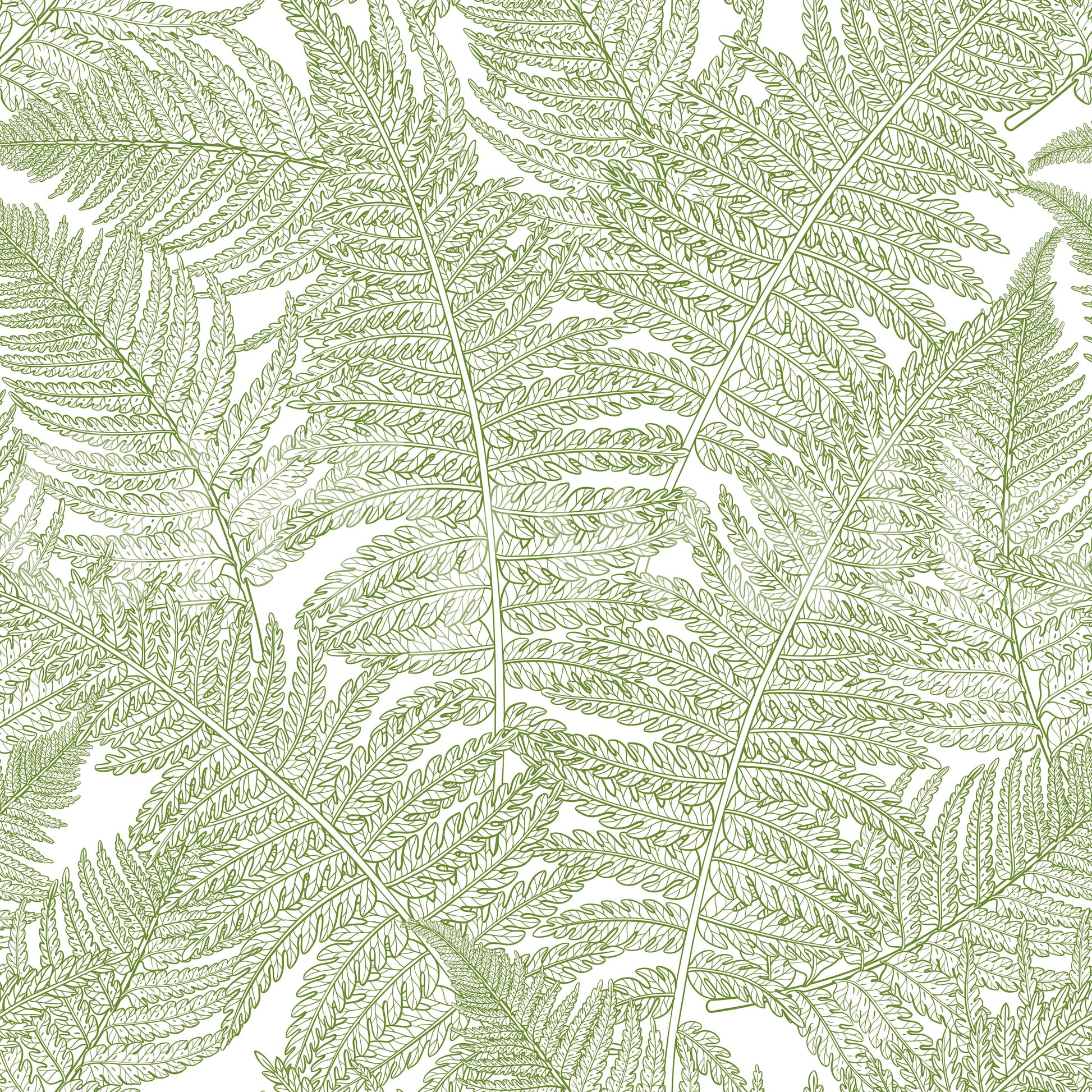 Matte surface holds crisp linework on Serene Wallscapes Fern wallpaper without glare