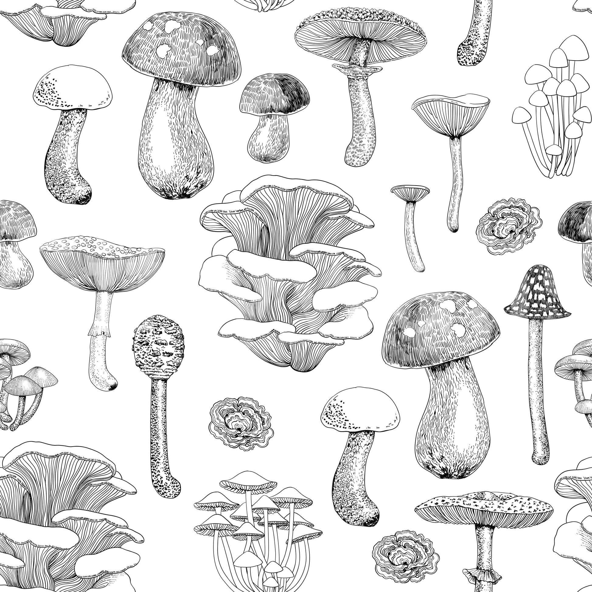 Each panel of the mushroom wallpaper gives a botanical feel.
