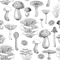 Each panel of the mushroom wallpaper gives a botanical feel.