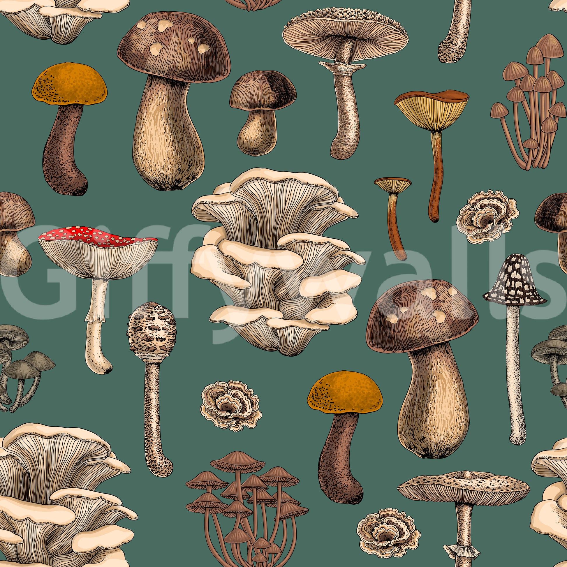 Fungi sit alongside chunky penny bun caps in the Wild Mushroom wallpaper.