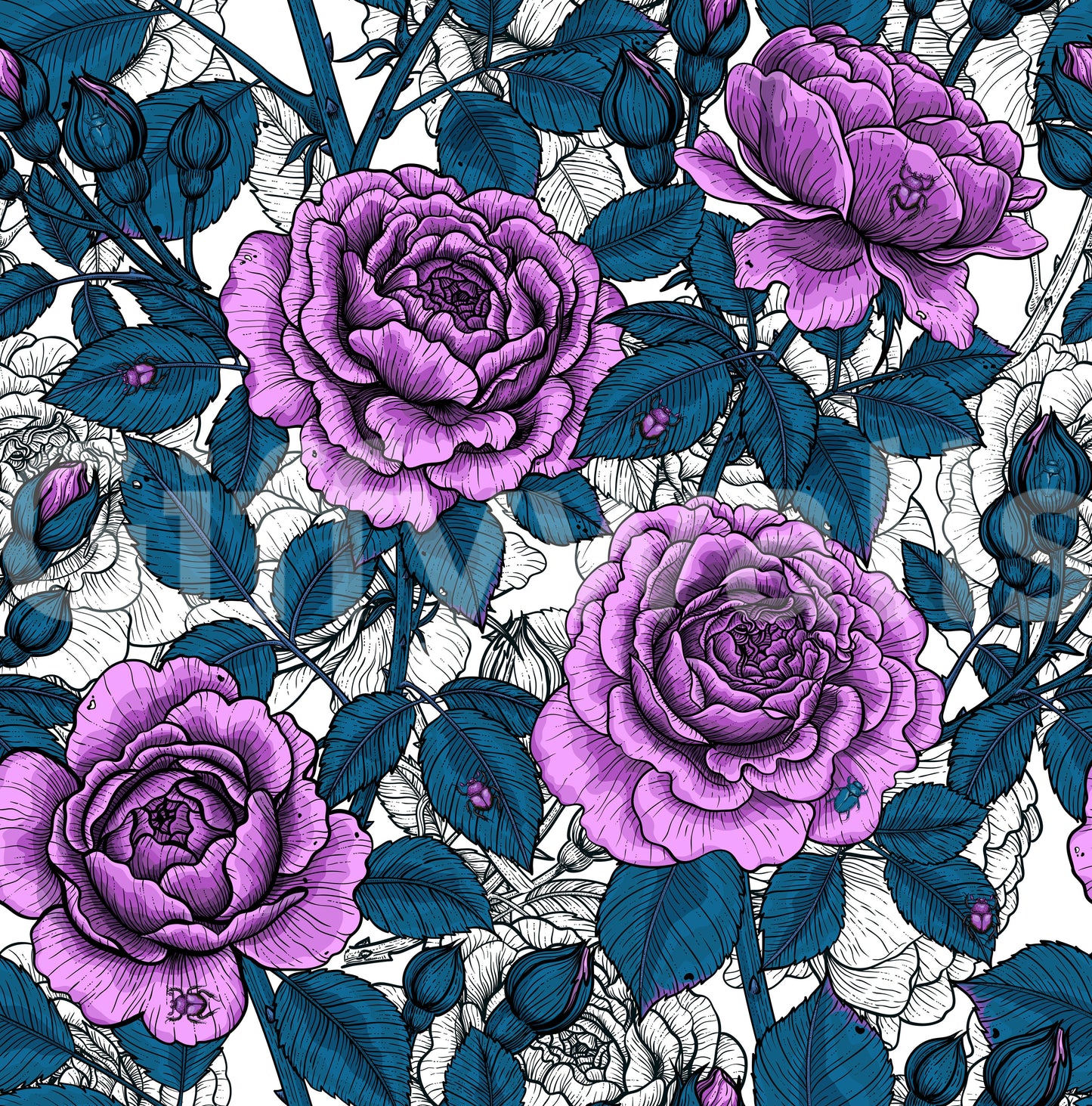 Violet rose garden Wallpaper⁠