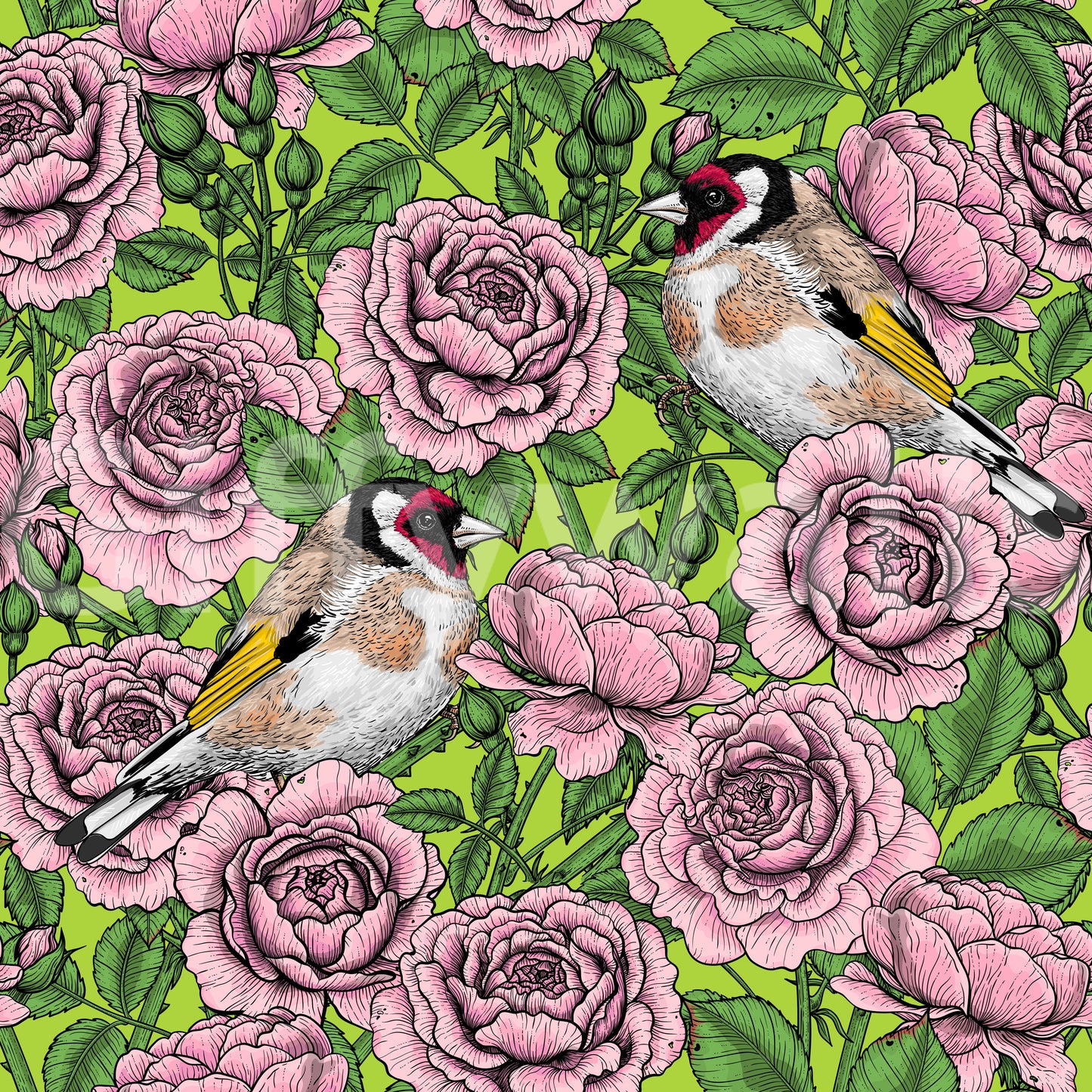 Goldfinch & Rose Garden Delight Wallpaper⁠