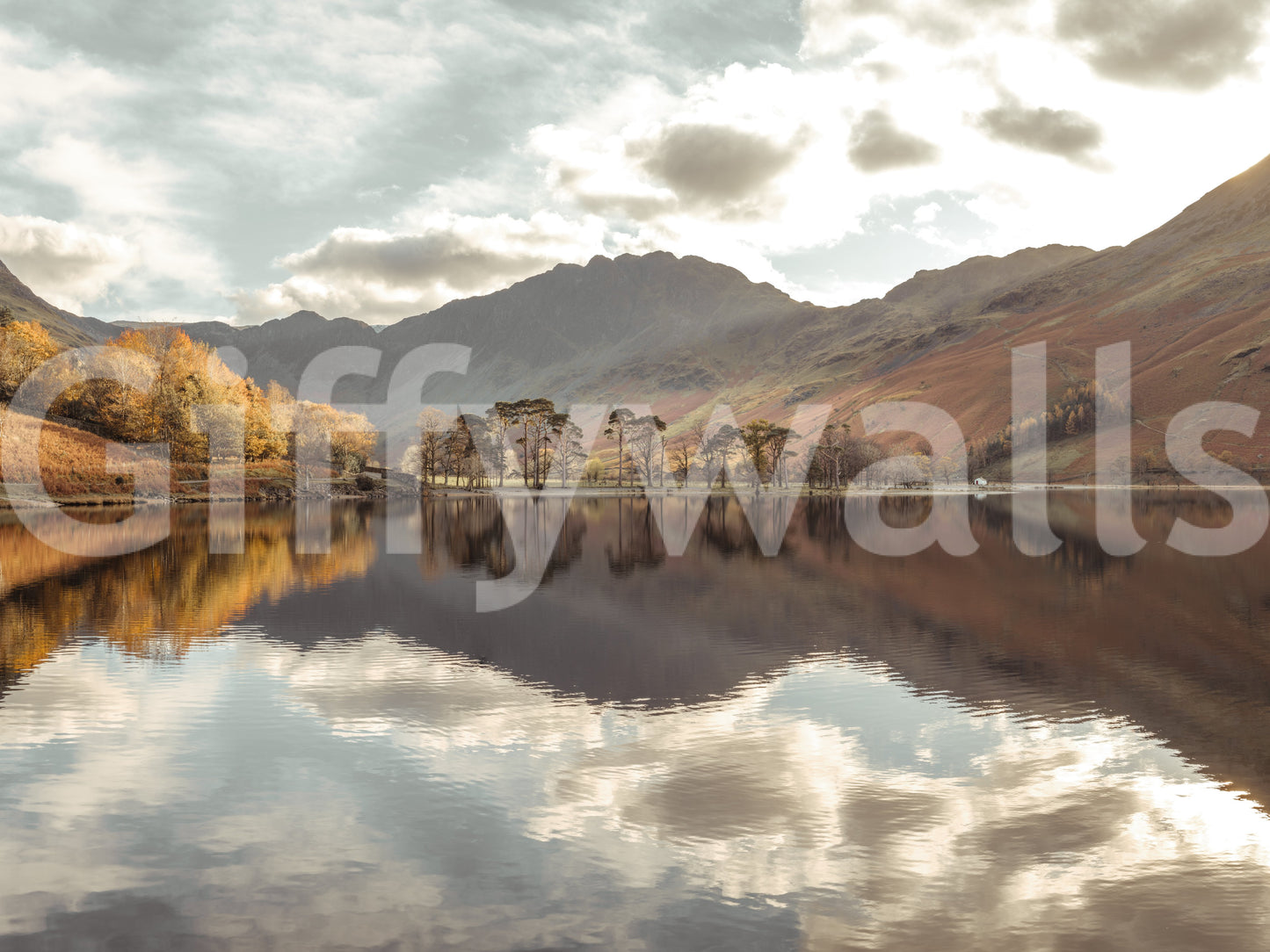Autumn's Golden Reflection Wall Mural