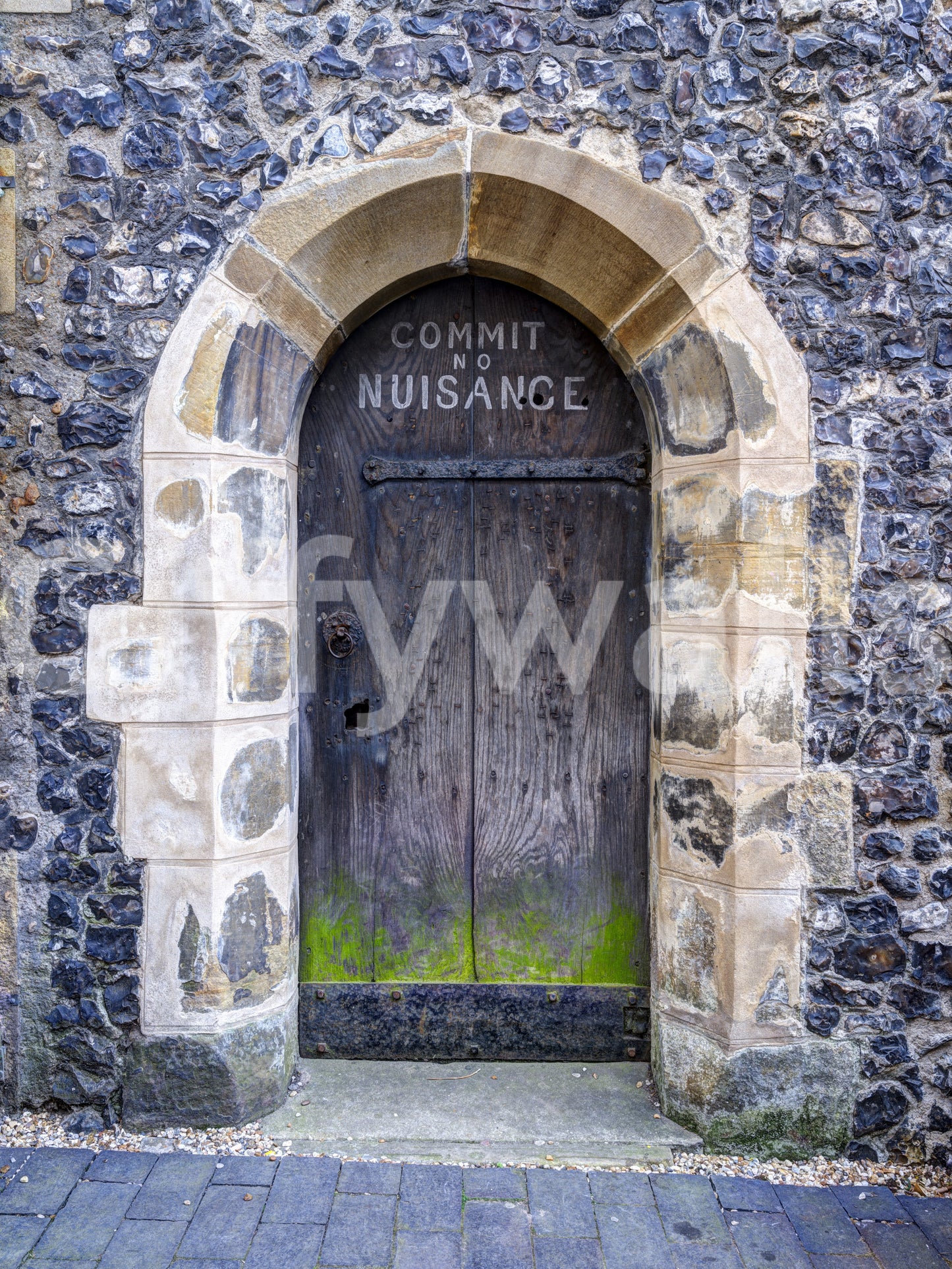 Arched Entry: Commit No Nuisance Wall Mural