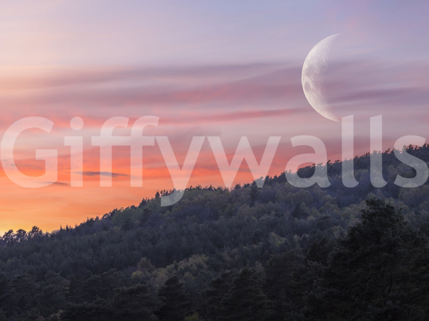 Twilight Forest & Crescent Moon Wall Mural