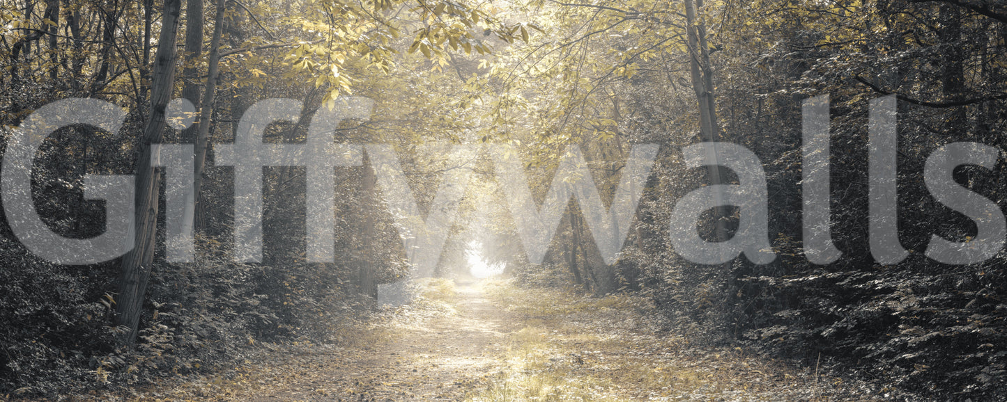 Forest Glow Pathway Wall Mural