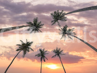 Tropical landscape wall mural with palms and sunset atmosphere