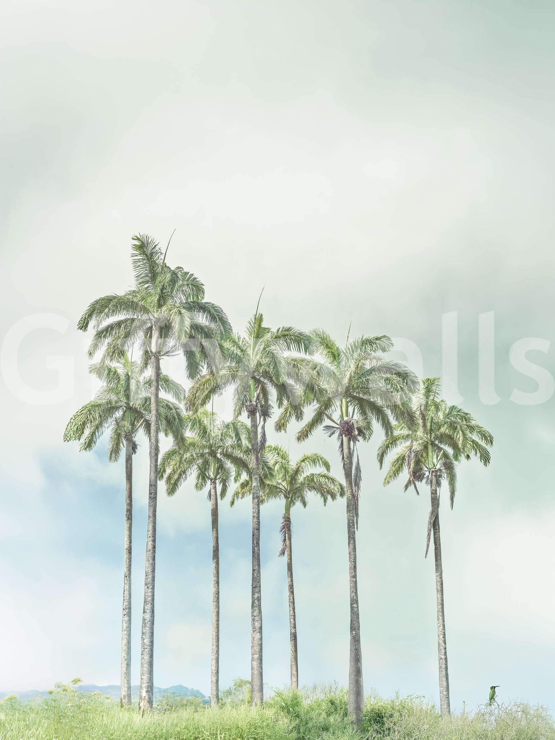 Coastal palm wall mural with soft sandy and aqua shades