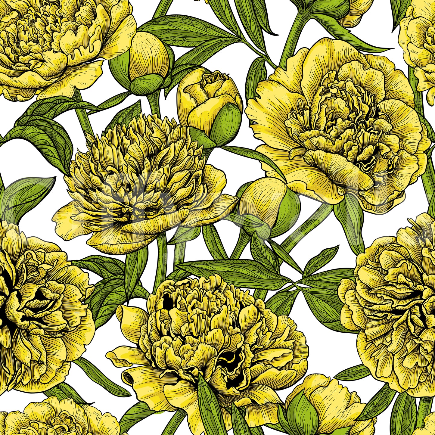 Golden Peony Blossom Wallpaper Wallpaper⁠