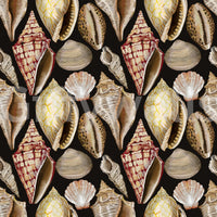 Moody Vintage Seashells Wallpaper Wallpaper⁠