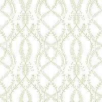 Sage Green Intertwined Botanical Vines Wallpaper Wallpaper⁠