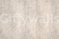 Aged Concrete Plaster Textured Wallpaper Wall Mural