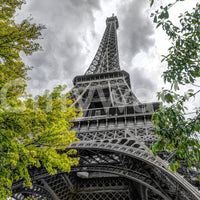 Parisian Skyward Perspective Art Wall Mural