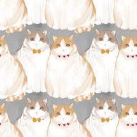Adorable Chubby Kittens Repeating Wallpaper⁠
