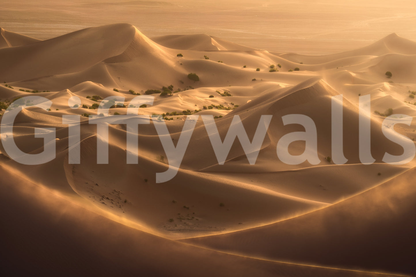 Golden Hour Desert Dunes Wall Mural
