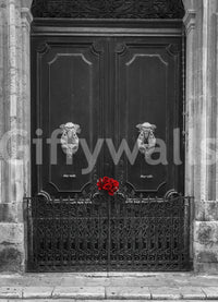 Scarlet Roses on Antique Iron Gate Wall Mural