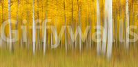 Golden Aspen Forest Motion Wall Mural