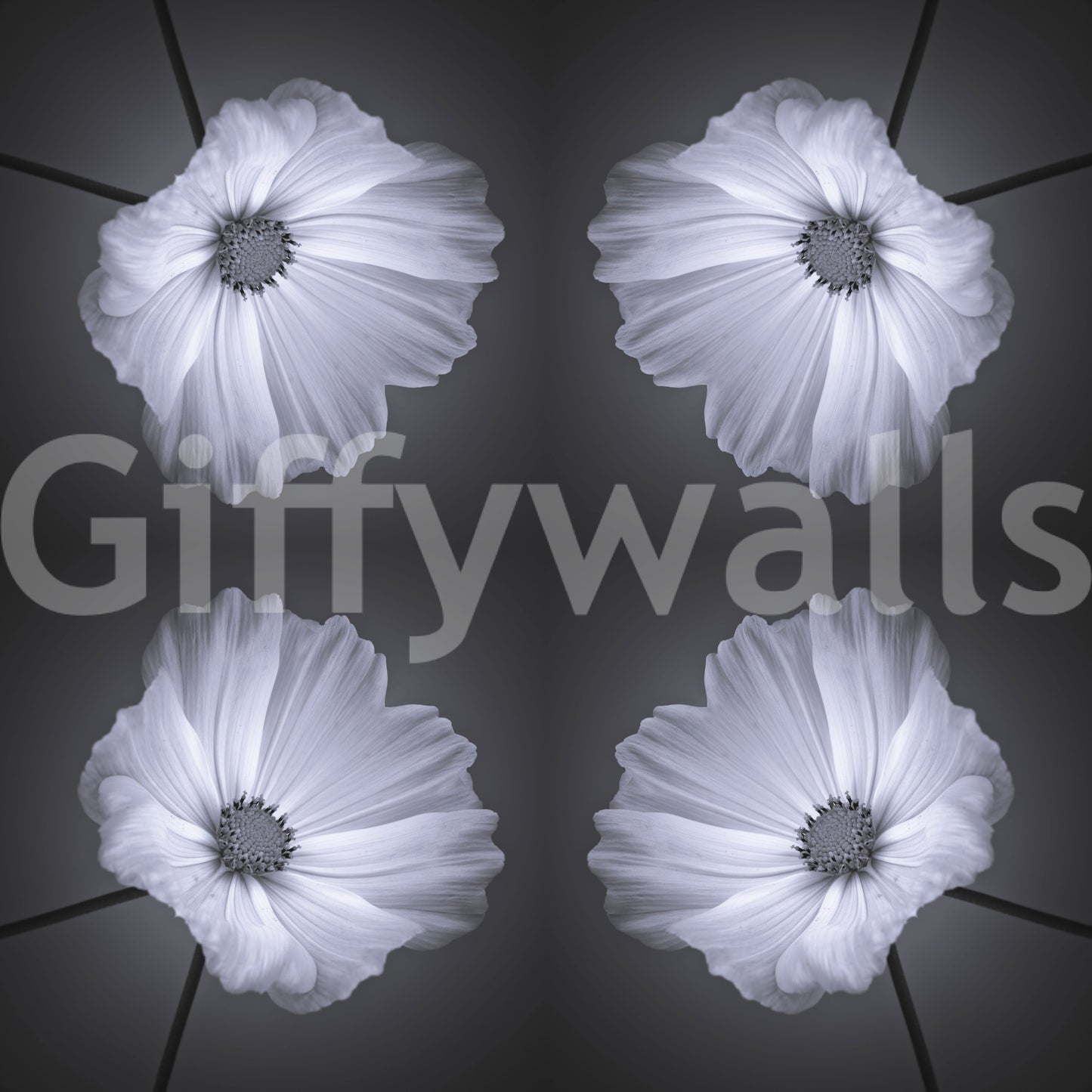 Monochrome Botanical Symmetry Wallpaper⁠