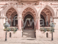 Ornate Historical Stone Facade Wall Mural