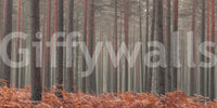 Rustic Autumn Grove Wall Mural